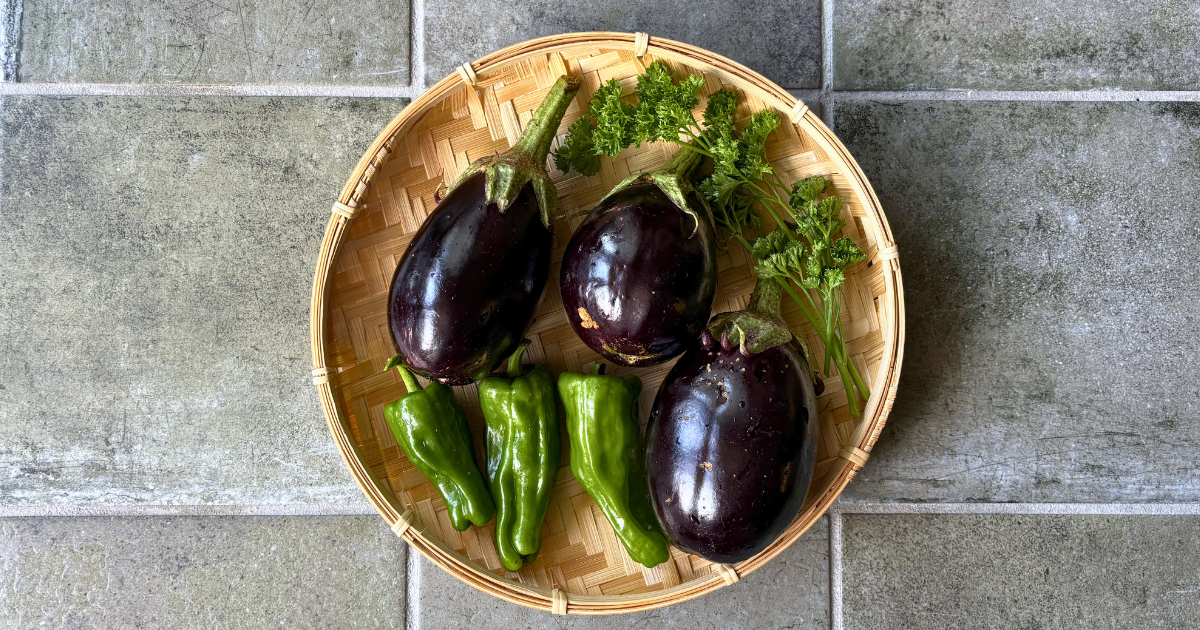 収穫した野菜